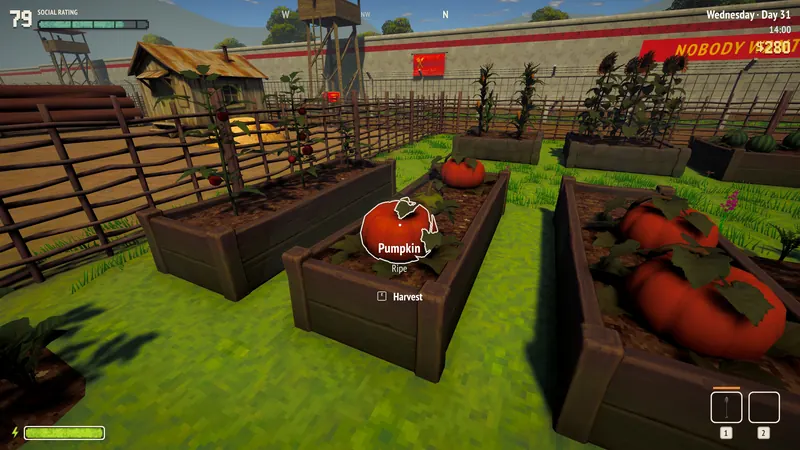 Harvesting a pumpkin from a raised bed under the slogan NOBODY WANTS TO LEAVE!